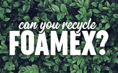 Can you recycle foamex?